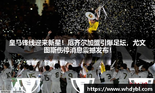 77体育官网